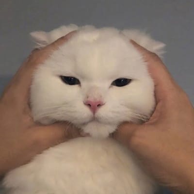 Phạm Đình Bảo avatar